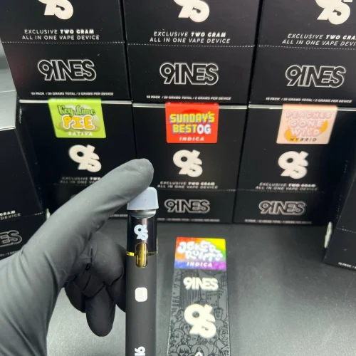 9INES DISPOSABLE