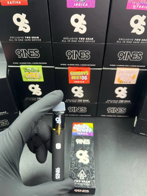 5075747781993409943.webp 9INES DISPOSABLE