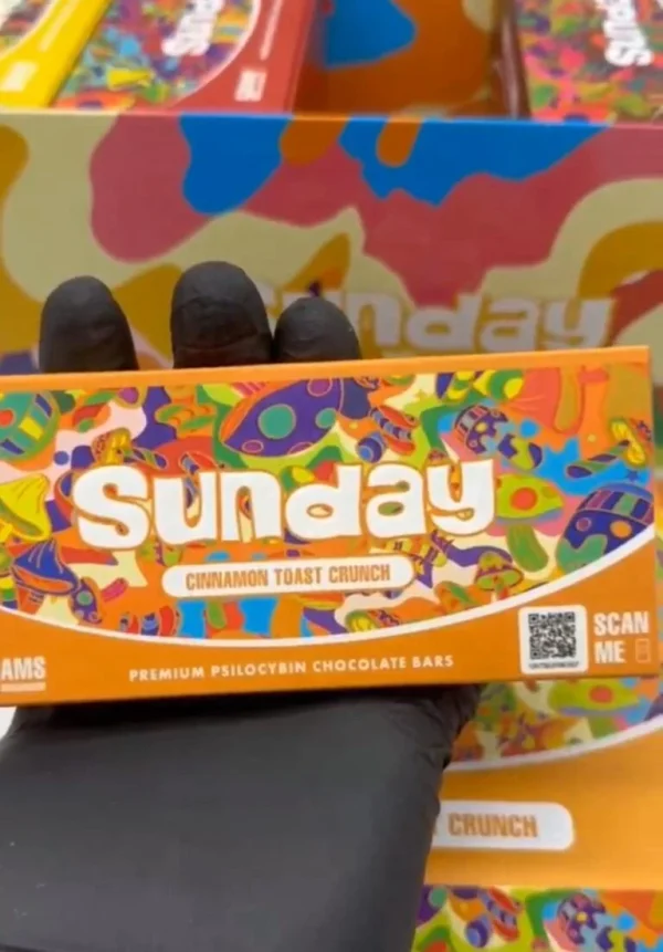WhatsApp-Image-2024-07-08-at-04.26.48_986200c9.webp SUNDAY MUSHROOM CHCOLATE BAR