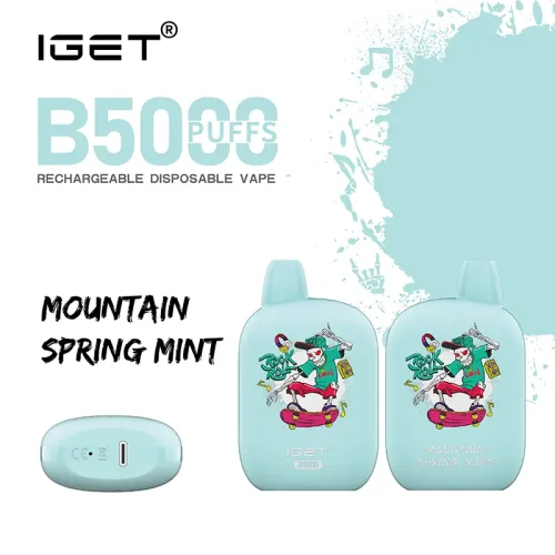 mountain-spring-mint-iget-b5000.webp Mountain Spring Mint – IGET B5000